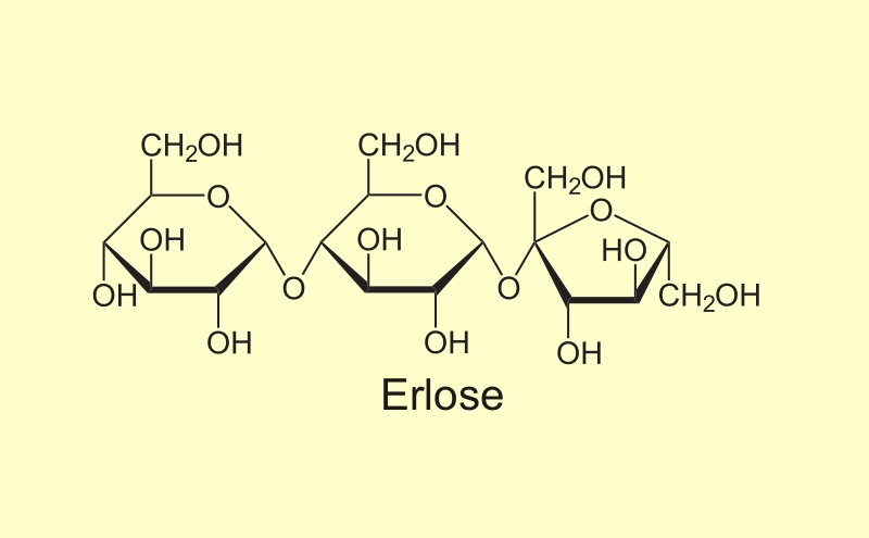 Dreifachzucker <i>Erlose</i>